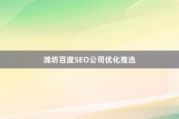 潍坊百度SEO公司优化推选